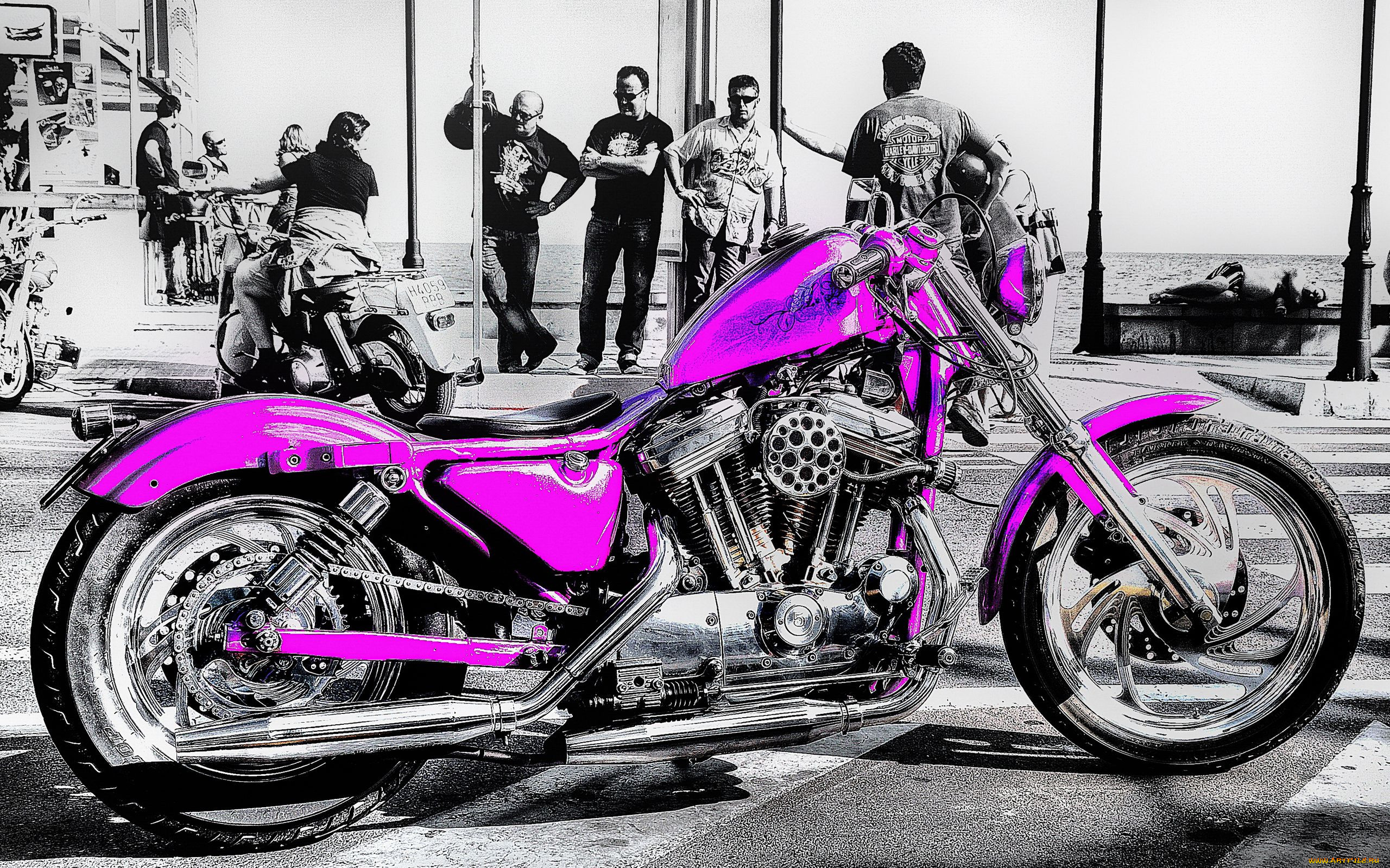 harley, davidson, 